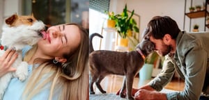 La relación entre las personas y los animales de compañía no es algo reciente. Sus orígenes se remontan a miles de años, cuando los primeros grupos humanos