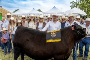 La Expoasis Ganadera Múzquiz 2026 celebró la premiación del Novillo Gordo, destacando la calidad del ganado regional y fortaleciendo la economía local.