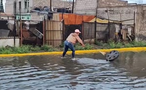 La tarde de este domingo se registró una lluvia en el municipio de Chalco, lo que provocó concentraciones de agua en varias colonias de la cabecera municipal