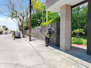 Los bomberos recomendaron no molestar a las abejas para que no picaran a nadie.  Un enorme enjambre de abejas provocó la movilización del Cuerpo de Bomberos