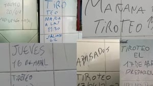 Para el especialista Pablo Reyna, estos comportamientos responden a una lógica emocional donde el reconocimiento pesa más que la empatía.  Lo que comenzó como