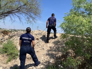 Personal Protección Civil llevó a cabo un recorrido por el área, pero no encontraron a las víboras.  Una escena poco común generó alarma entre vecinos