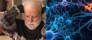 La presencia de olvidos recientes y repetitivos suele ser uno de los primeros indicios de la Enfermedad de Alzheimer, un trastorno neurodegenerativo que afecta