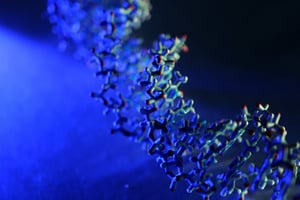 El ADN es el elemento fundamental que determina el funcionamiento de todos los seres vivos, incluidos los humanos. Está compuesto por cuatro bases —A,