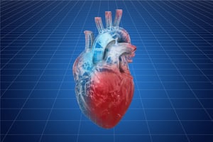 El agrandamiento del corazón, conocido médicamente como Cardiomegalia, no es una enfermedad por sí sola, sino una señal de que el corazón está sometido