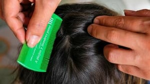 La Secretaría de Salud inició campañas de prevención y cuidado relacionadas con la pediculosis en escuelas.  Las escuelas de la región mantienen vigilancia