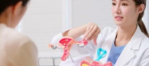 El Síndrome Ovárico Metabólico Poliendocrino (SOMP) se ha vuelto un tema de creciente interés entre mujeres que experimentan desequilibrios hormonales,