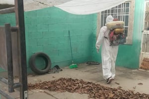 La Dirección de Salud Pública de Torreón reforzó las brigadas de fumigación y control de roedores en diversas colonias para prevenir riesgos sanitarios