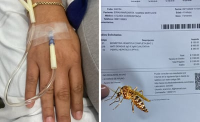 Pruebas de dengue rebasan los 1,000 pesos en Coahuila 