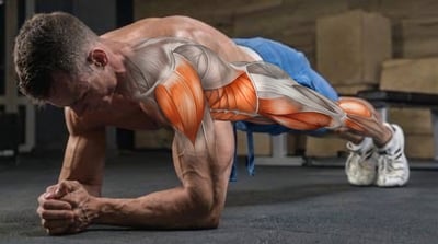 La ciencia detrás de la plancha abdominal: eficacia, riesgos