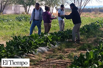 Aprenden a cultivar los  alumnos del CBTA 209