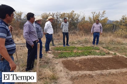 Entregan huertos familiares