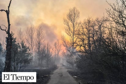 Estallan tres nuevos incendios cerca de Chernóbil