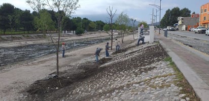 Lluvia daña gavión  recién instalado en  el Río Monclova 