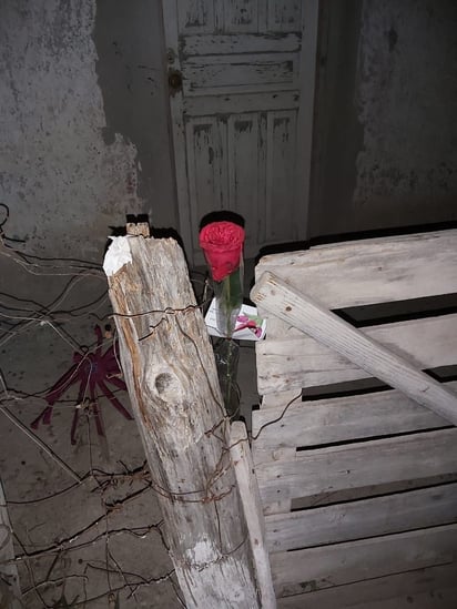 SORPRENDE GLADYS A MAMÁS CON FLORES EN SUS HOGARES POR SER EL DÍA DE LAS MADRES