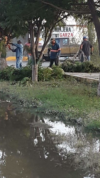 Pronostican tornado en San Buena: existe alerta