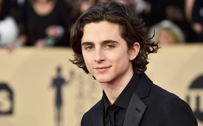 Timothée Chalamet y su paso por el cine