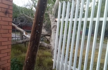 Pronostican  tormentas eléctricas y vientos