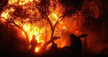 Despliega Sedena más de 500 elementos contra incendios forestales