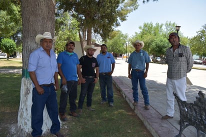 Roban 10 cabezas de ganado en el Ejido Sardinas