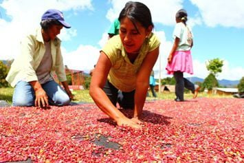 Mujeres, lejos  de la igualdad en  América Látina