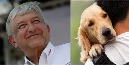 ¿Es verdad que AMLO quiere cobrar un impuesto por tener mascotas?