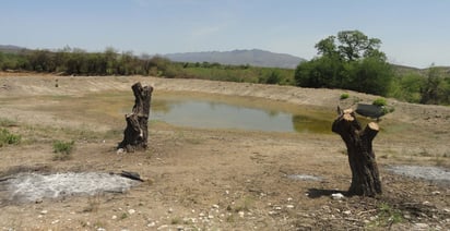 Sin agua 300 ganaderos