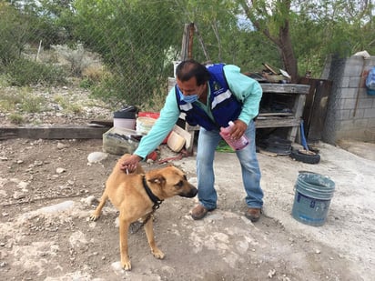 Inicia desparasitación de mascotas  