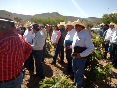 Ofrece SEDER al campo  programa de higueras 