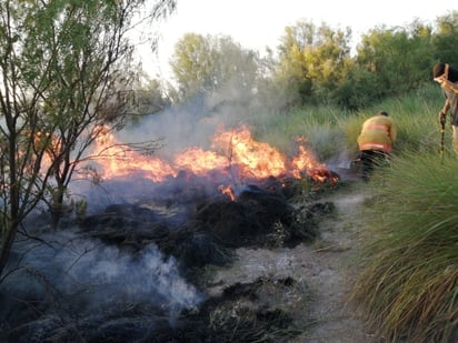 Incendios En Ejidos Controlados Por Protección Civil 