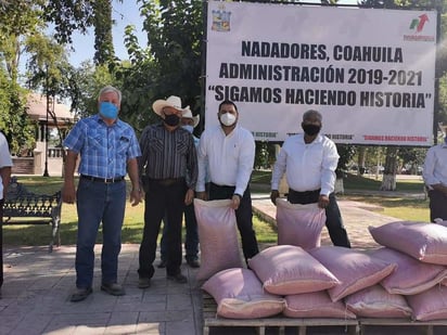 Benefician a  los productores  con la semilla  ‘frijol Saltillo’ 