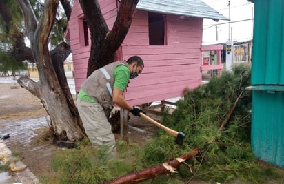 Provoca tromba la  caída de árboles  y  bloqueo de calles