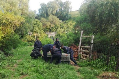 Rescata a 13 perros en situación de abandono y maltrato en Michoacán