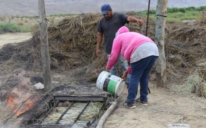 Interesa a empresarios de N.L. producir la cera