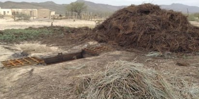 Obligarían a Candelilleros vender sus propias tierras