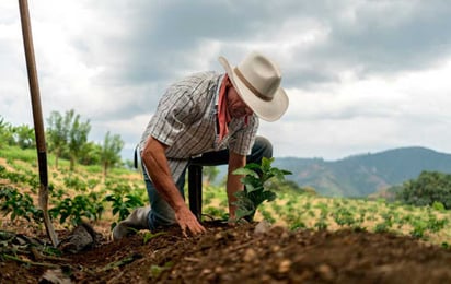 Campesinos de México recurren a WhatsApp para no parar en pandemia