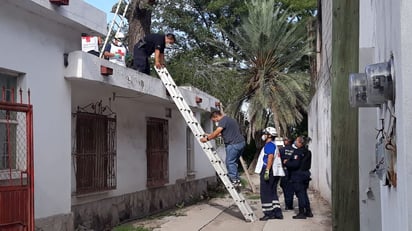 Cae de árbol y muere tras golpearse la cabeza en la colonia El Pueblo de Monclova: El ahora fallecido se proyectó contra el techo de su vivienda