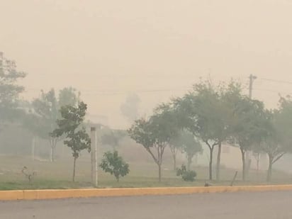 Advierte salud el daño de humo 