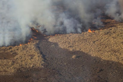 Avanzan los incendios en el río Paraná de Argentina