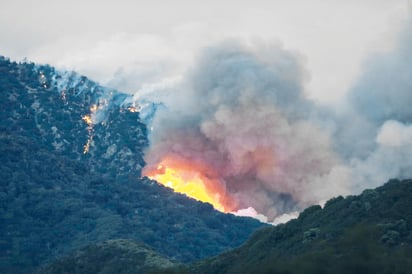 Avanza incendio forestal cerca de Los Ángeles