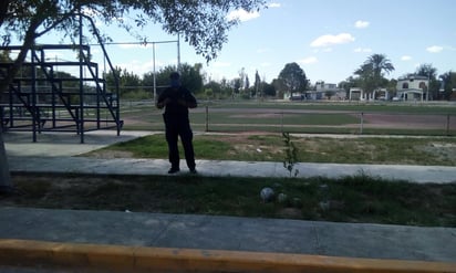 Vigilancia sanitaria en áreas verdes  