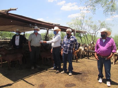 Beneficia el ‘Recría Caprina’ a   Ejidos Palo Blanco y  Soledad