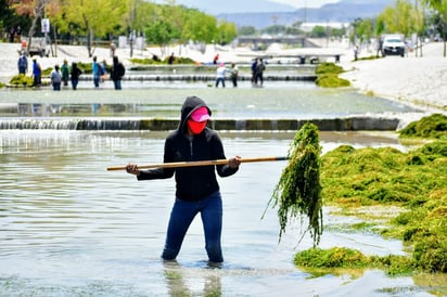 Siguen las labores de limpieza en el río