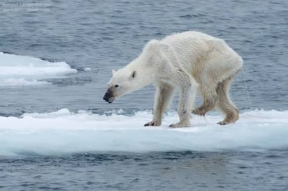 Más de la mitad de los océanos, afectados por el cambio climático