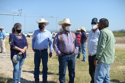 Con semilla de trigo impulsan al campo  con apoyo de SEDER 