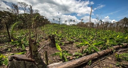 Tierra agotará este fin de semana sus recursos naturales anuales