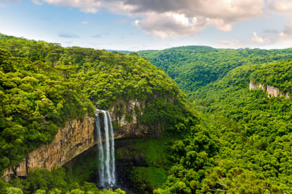 Infraestructura a gran escala 'amenaza' bosques tropicales en América Latina