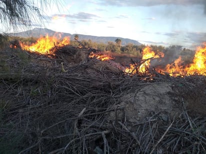 Sofocan cuatro incendios de pastizales, fueron provocados 