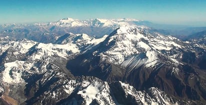 Un árbol fósil reconfigura paisaje de los Andes de hace 10 millones de años