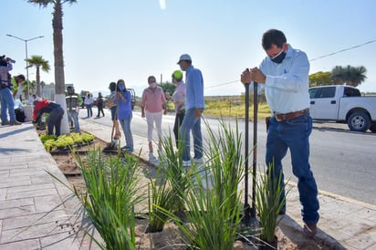 Embellecen las autoridades municipales el Bulevar Juárez